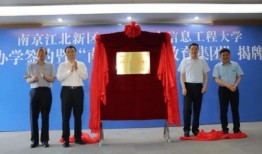 立讯电子厂最新爆料消息,揭秘生产一线真实情况